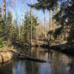 Река Хвоёнка впервые упоминается в письменных документах в последней трети 16-го века. Несёт свои воды, впадая в ряд других рек, в Волгу. Река Хвоёнка