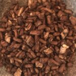 Делаем «кофе» из одуванчика Делаем «кофе» из одуванчика