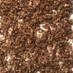 Делаем «кофе» из одуванчика Делаем «кофе» из одуванчика