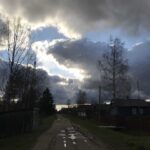 Крокодил в небе солнце проглотил. В деревне пасмурно