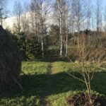 В деревне В деревне