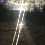 В деревне В деревне