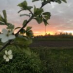 Вечер в деревне Вечер в деревне