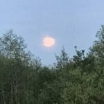 Природа в деревне Природа в деревне