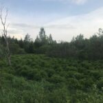 Вечер в деревне Вечер в деревне