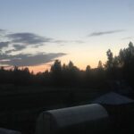 Белые ночи Белые ночи