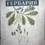 "Гербарий" Книга "Гербарий"