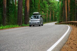 Дорога в лесу Дорога в лесу