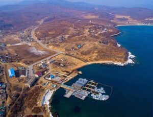 Белухи и касатки в тюрьме