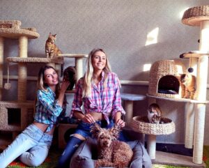 Анастасия и Полина Анастасия и Полина Аммосовы, кошки, собаки, благотворительность