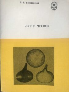 ЛУК И ЧЕСНОК ЛУК И ЧЕСНОК