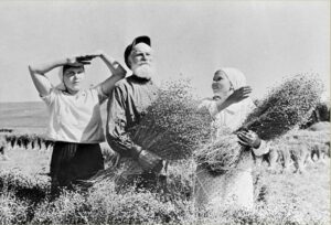 Колхозники Колхозники