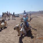 Египет, катание на верблюде