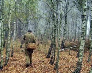 Грибник в лесу Грибник в лесу