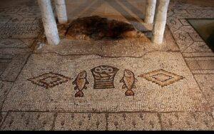 Табга. Пол с мозаикой. Табга. Пол с мозаикой.