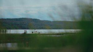 Кадр из фильма Кадр из фильма