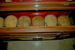 Честные главы монахов-Савваитов мучеников за Христа, отмеченные крестом в лобной части черепа. Честные главы монахов-Савваитов мучеников за Христа, отмеченные крестом в лобной части черепа