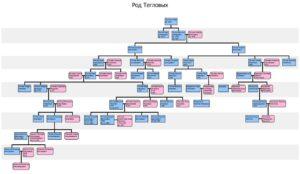 Родословное древо Теглевых