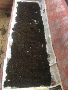 Иван-чай Иван-чай