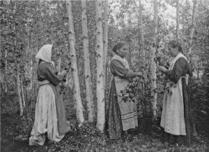 Жизнь в деревне. К Троице Жизнь в деревне. К Троице