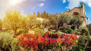 Гефсиманский сад Гефсиманский сад