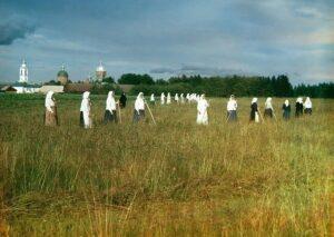 Добротная русская жизнь. Синокосничать