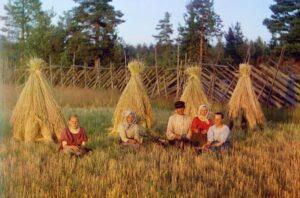 Cенокос Cенокос, стоги сена