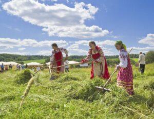 Cенокос Cенокос