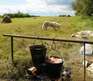 Обед на сенокосе Обед на сенокосе
