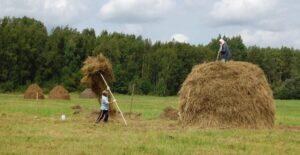 Метатель стога Метатель стога