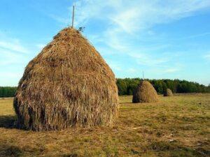 Стог сена Стог сена