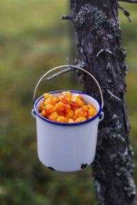 Морошка Морошка