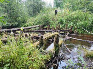 Остатки моста через Воложбу