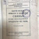 В. П. Никитин, учебник