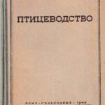 В. П. Никитин, учебник