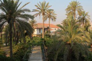 Подворье Русской Духовной Миссии в честь святого апостола Закхея. Подворье Русской Духовной Миссии в честь святого апостола Закхея, Иерихон.