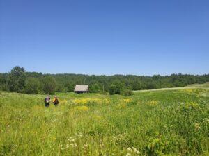 Деревня Семеновское