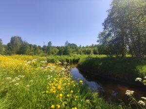 Река Воложба близ деревни Семеновское