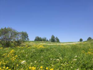 Деревня Семеновское. Наши дни.