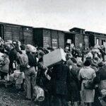 Великая Отечественная война, фото