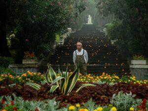 Кадр из фильма "Чебурашка". Сергей Гармаш. Кадр из фильма "Чебурашка". Сергей Гармаш.