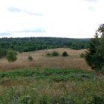 Деревня Зубакино