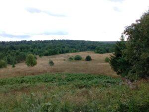 Вид на поля из деревни Зубакино Деревни Зубакино, Дорогощи, поля