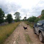 Деревня Зубакино