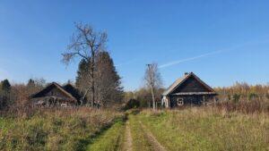 Деревня Савино. Современный вид. Деревня Савино. Современный вид.