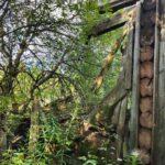 Дом в деревне Дорогощи