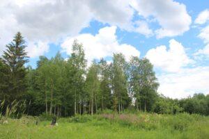 Место, где стояла церковь на погосте. Место, где стояла церковь на погосте.