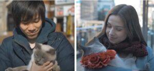 Кот в Японии Кот в Японии