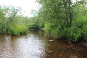 Вид на речку Черенка Вид на речку Черенка