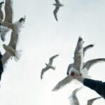 Кадр из фильма "Святой Архипелаг"